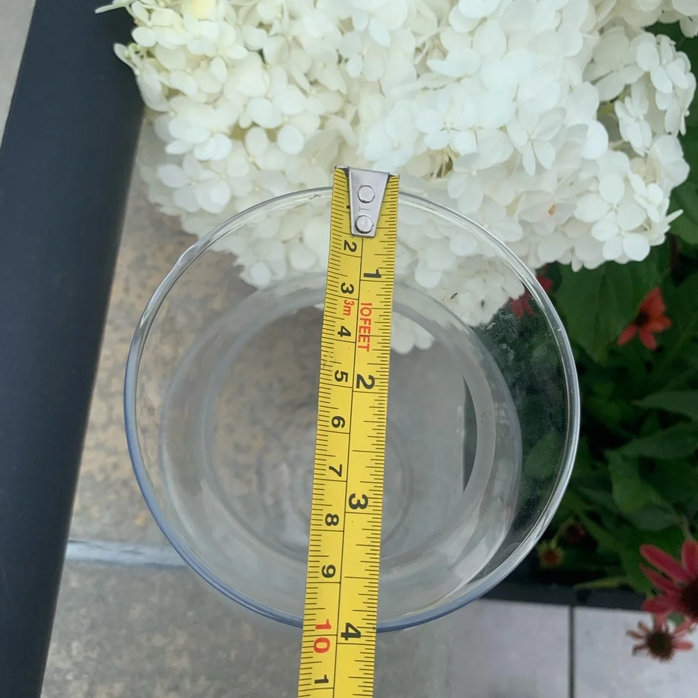 2in1 Glass See Through Floral Vase or Lemonade Water Pitcher
